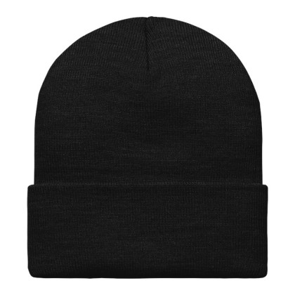 kulich Carhartt WIP Script Beanie